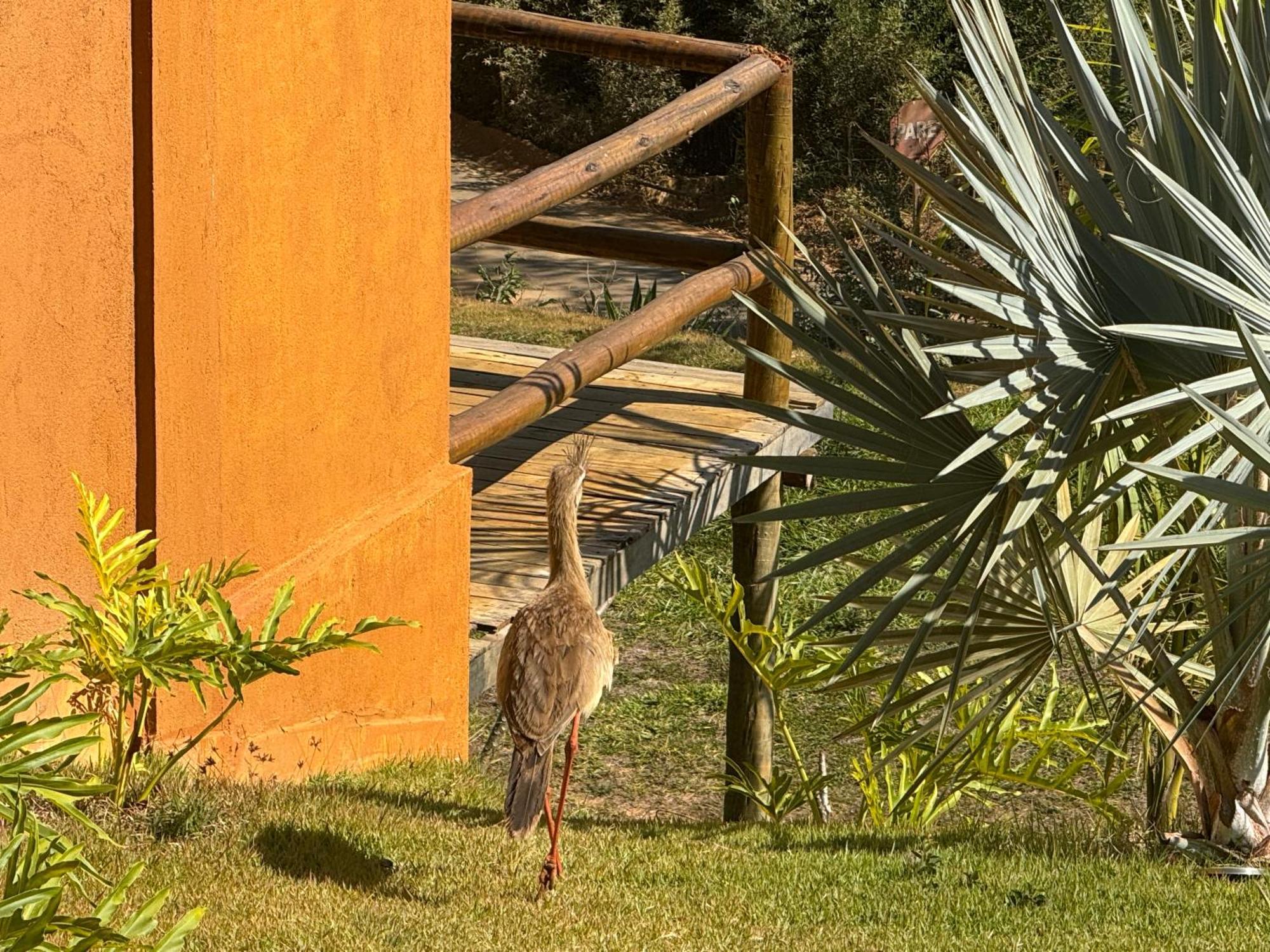 Pousada Guardia Da Canastra Vargem Bonita Exterior photo